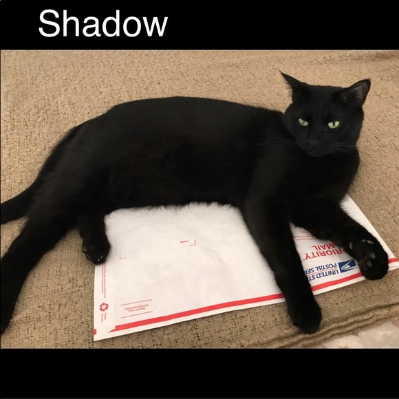 Meet your Posher, Tanya - Picture 2 of 6